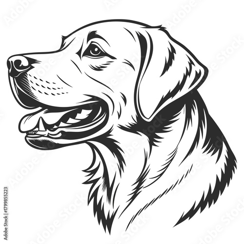 Dynamic black and white line art portrait of a happy labrador retriever dog with open mouth and tongue out