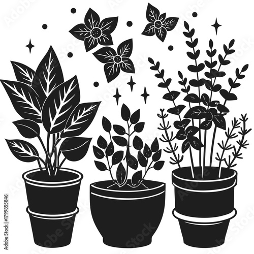 Minimalist black and white potted houseplants illustration vector