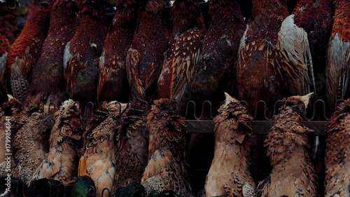 Hunters proudly showcase their catch of game birds at a local market during the autumn season, highlighting the tradition and community bonding in hunting culture.