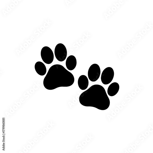 Simple paw prints silhouette. A pair of black vector icons representing dog or cat tracks. A cute symbol for pets, vets, or animal lovers, isolated on a clean white background.
