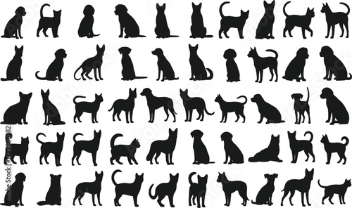 Cat, dog, silhouette, pet, animal, vector, black, illustration, sitting, standing, playful, domestic, feline, canine, icon, design, shape, outline, pattern, isolated