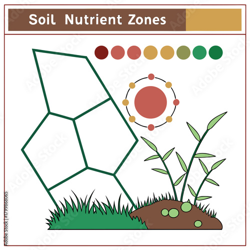 Diagram illustrating soil nutrient zones and their impact on plant growth and development