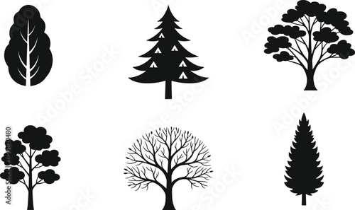 Tree silhouette collection, deciduous rounded canopy, evergreen conifer pine, leafless winter tree, botanical illustration set, forest landscape vector art, ecology environment graphics