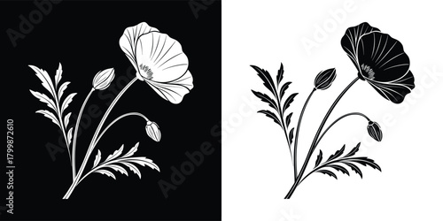 A black and white illustration of a poppy flower with leaves and buds, presented on both black and white backgrounds