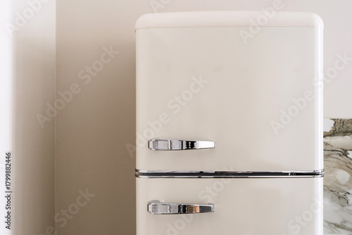 Classic retro fridge design in a cozy kitchen space with modern touches