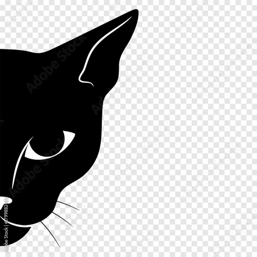 Curious black cat face is hiding and peeking out from the wall. Vector illustration.