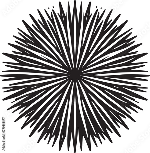 Black and white starburst on a white background. Vector illustration..eps