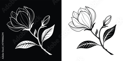 Elegant handdrawn illustration of a blooming magnolia flower with leaves and buds, presented in both positive and negative versions on black and white backgrounds