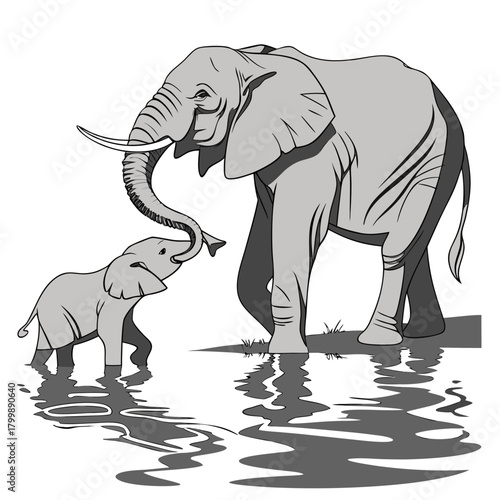 Mother and baby elephant interacting playfully in shallow water with reflections on a white background