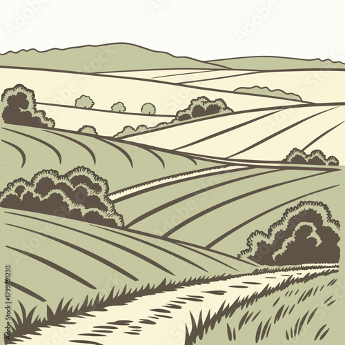Rolling green agricultural fields and hills with a dirt path leading into the distance