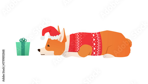Cute cartoon Corgi puppy waiting for Christmas to open the present. Dog dressed in festive red sweater and Santa's hat. Counting days to Christmas vector illustration