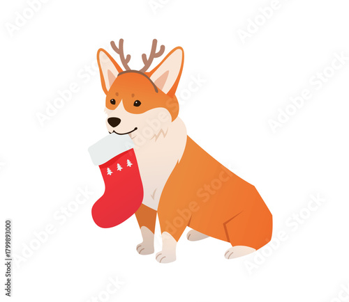 Dog with Christmas Stocking Vector. A charming festive illustration of a Corgi wearing reindeer antlers. Waiting for presents. Holiday spirit art