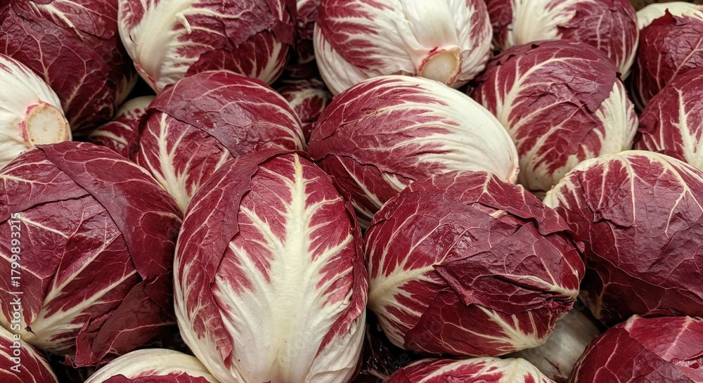 Fototapeta premium Red radicchio heads with white veins, healthy leafy vegetables for sale