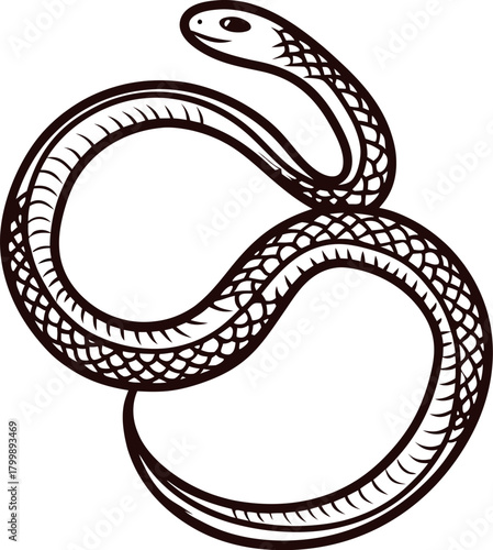 Vintage hand drawn ouroboros snake illustration in black and white, ancient serpent eating its own tail,  emblem