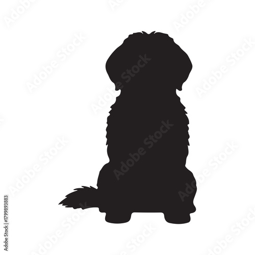 Silhouette of a fluffy dog standing