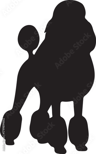 Silhouette of a fluffy dog standing