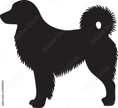 Silhouette of a fluffy dog standing