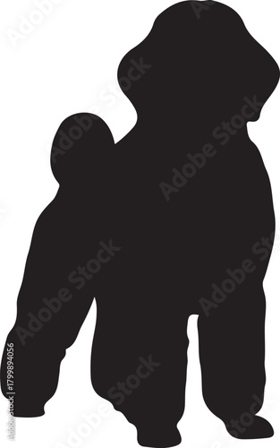 Silhouette of a fluffy dog standing