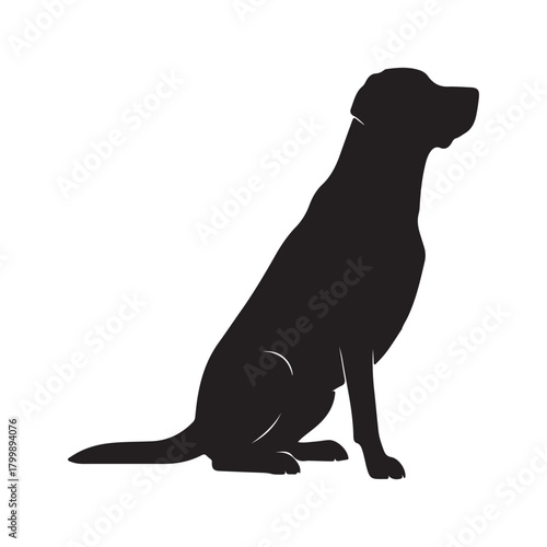 Silhouette of a fluffy dog standing