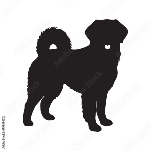 Silhouette of a fluffy dog standing