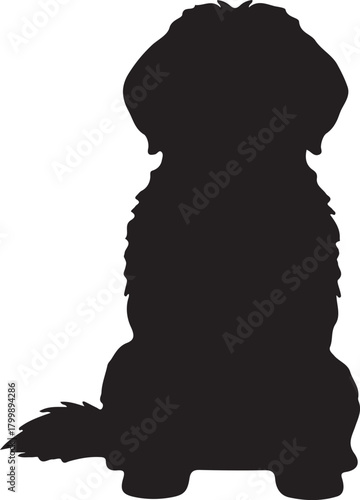 Silhouette of a fluffy dog standing