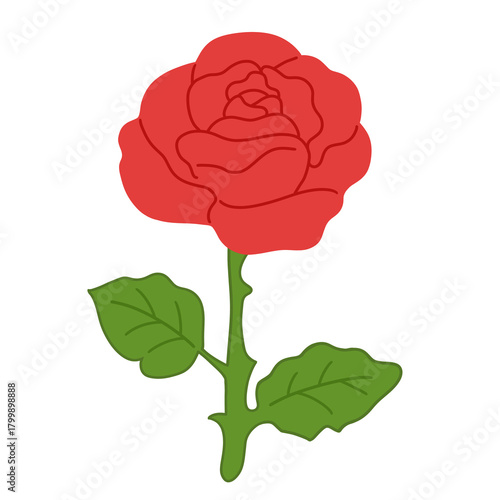 vector illustration of a rose