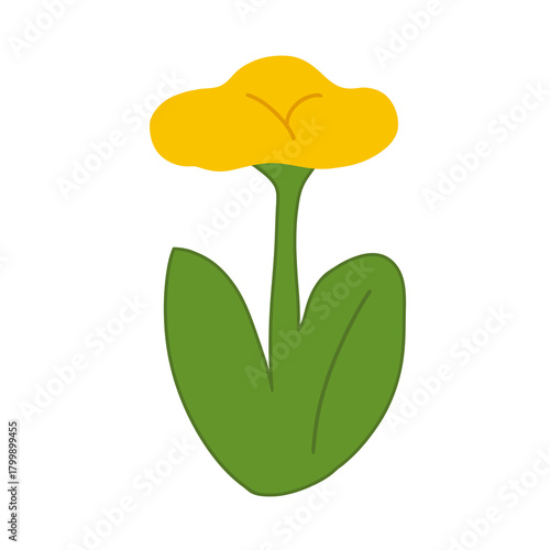 Flower illustration