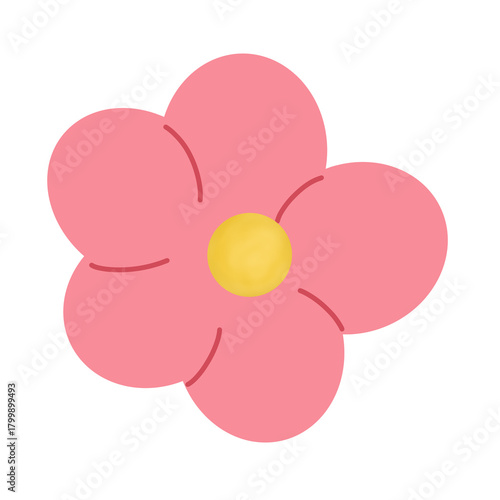 pink flower isolated on white