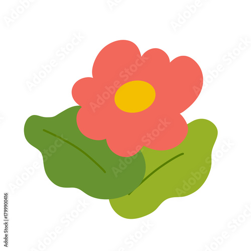 Flower illustration