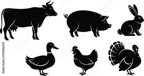 Farm animal silhouettes, cow, pig, rabbit, duck, chicken, turkey, black vector icons, livestock clipart, rural animals, simple graphic design