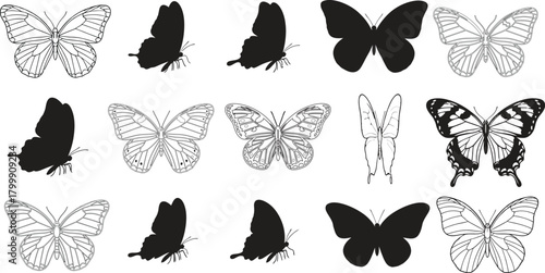 Collection of detailed butterfly illustrations and silhouettes in various poses