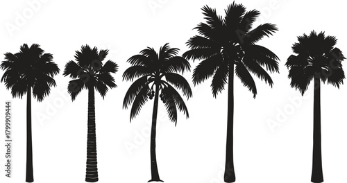 Silhouettes of five different palm trees against a white background