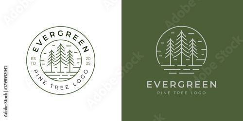 Evergreen Pine Tree Logo Design with Vintage Forest Badge Symbol Representing Wilderness, Adventure, and Outdoor Nature