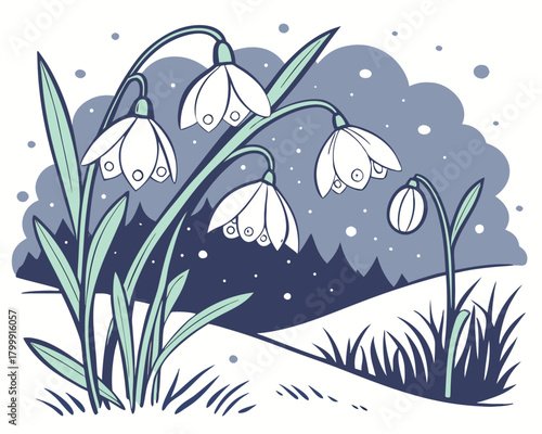 Snowdrop flowers in winter snow