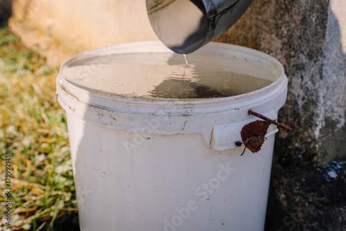Water is being poured from a metal container into a white bucket, reflecting sunlight, with a backdrop of grass and a rustic wall, showcasing a serene outdoor scene