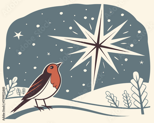Robin in a snowy christmas night with star