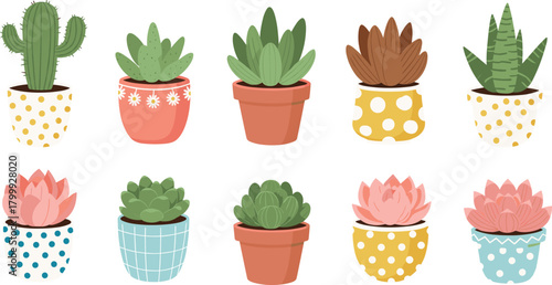 Cute potted succulents and cactus vector set with decorative planters, indoor house plants, greenery and botanical home garden illustration