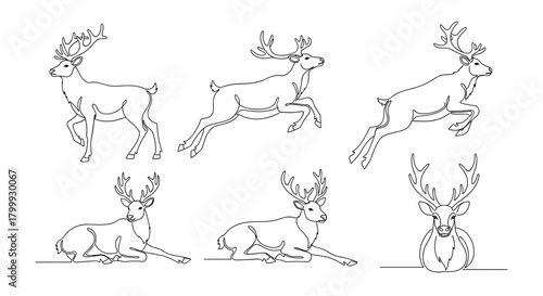 Deer line drawing isolated on, vector illustration, reindeer