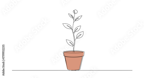 Hand drawn potted plant with leaves isolated on for decoration