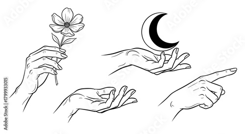 Hand gestures line art illustration isolated on