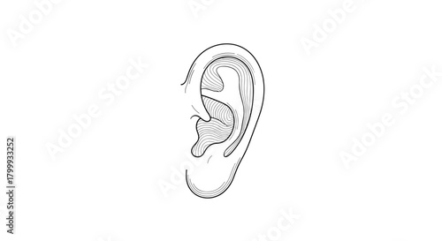 An illustration of a human ear isolated on