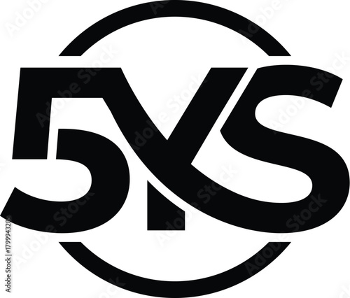 5YS monogram logo. 