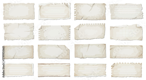 Collection of torn paper pieces with rough edges and varied textures.