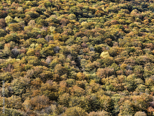 Beautiful colorful autumn scenery along the Piva River. Montenegro