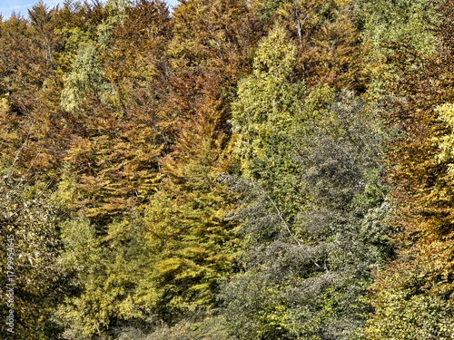 Beautiful colorful autumn scenery along the Piva River. Montenegro
