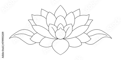 Elegant line art drawing of a lotus flower isolated on transparent background