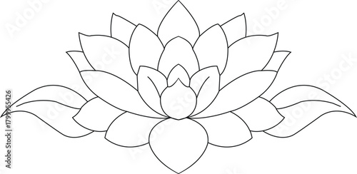 Elegant line art drawing of a lotus flower isolated on transparent background