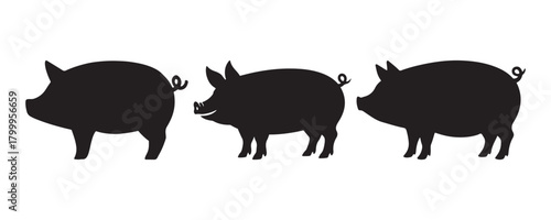 Pig Silhouette Vector Set – Farm Animal Icons on White Background.