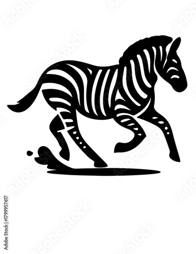 motion zebra 2