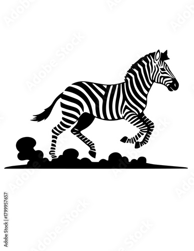 motion zebra 3